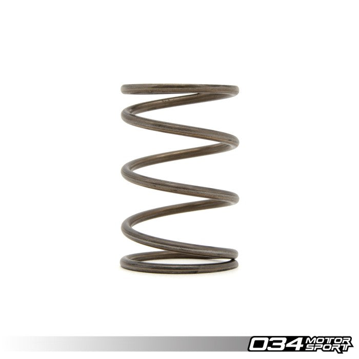 Audi Wastegate Spring, 1.9BAR - 034-145-6001