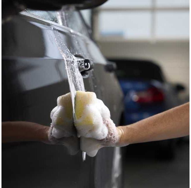 Wash & Protect | LIQUI MOLY