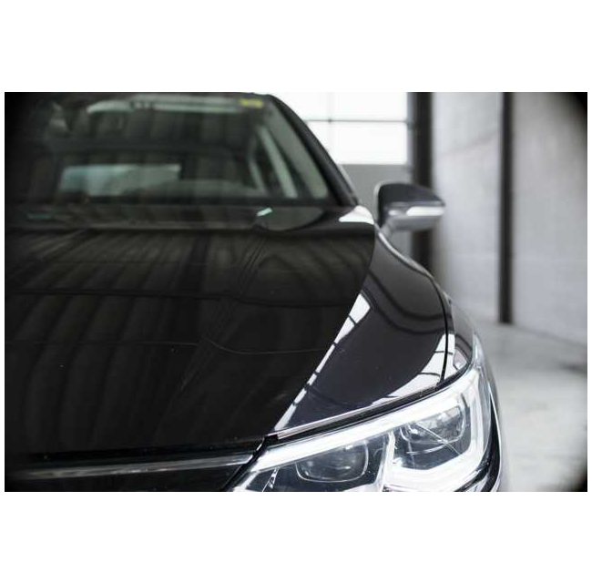Insect Remover | LIQUI MOLY