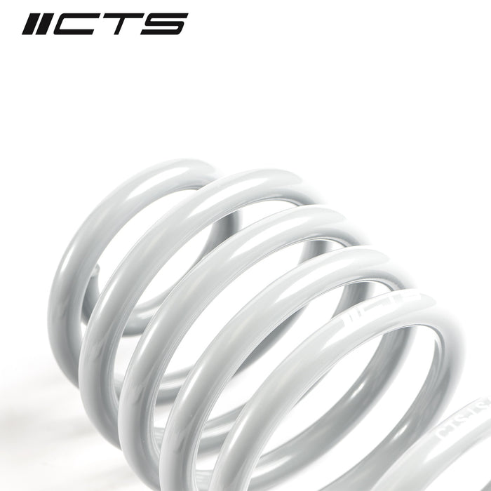 CTS Turbo B8/B8.5 Audi A4/S4 Lowering Spring Set - Harrys Euro