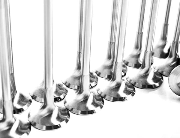 DAZA/DNWA PERFORMANCE VALVES