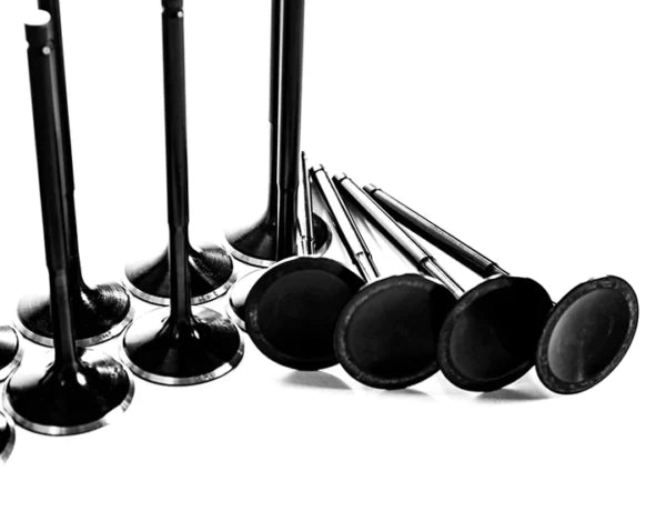 DAZA/DNWA PERFORMANCE VALVES