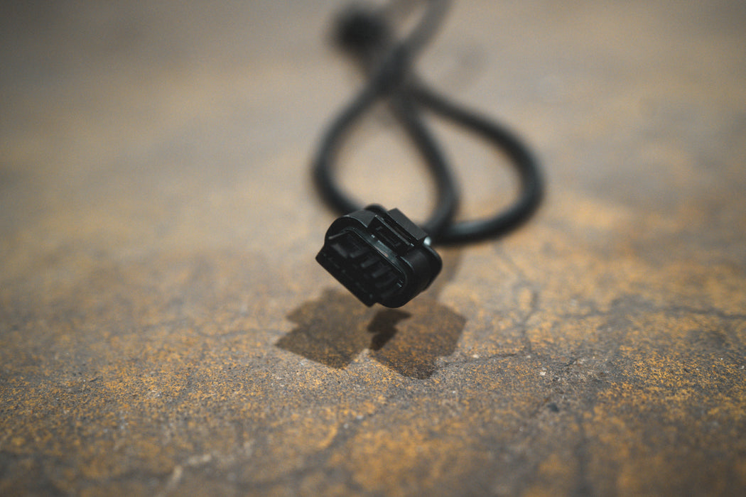 Replacement extension harness - Harrys Euro