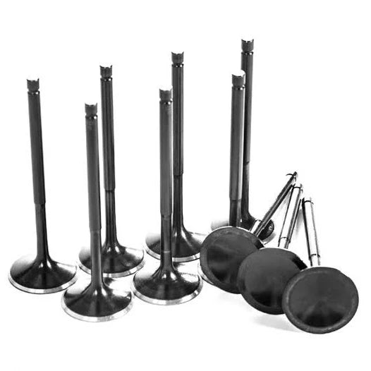 DAZA/DNWA PERFORMANCE VALVES