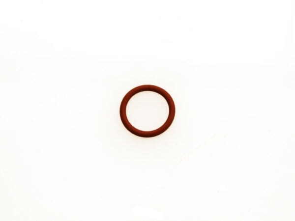 WG Valve Guide 鈥極鈥?Ring