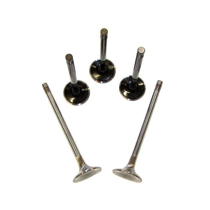 Valve Set, Oversized, 5-valve Audi/VW Motors