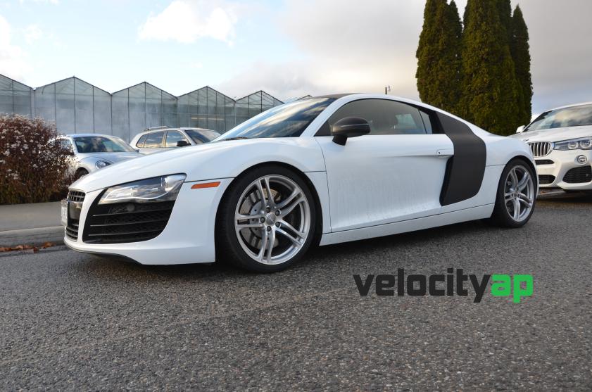 VelocityAP Audi R8 Progressive Rate Lowering Springs