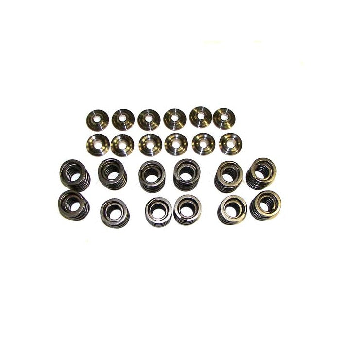 Valve Spring Set with Ti Retainers, 12v VR6