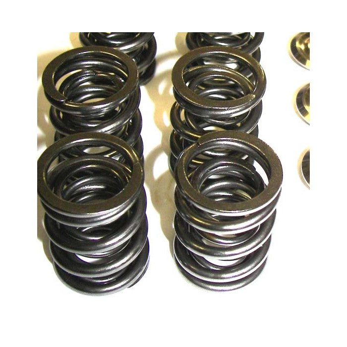 Valve Spring Set with Ti Retainers, 12v VR6