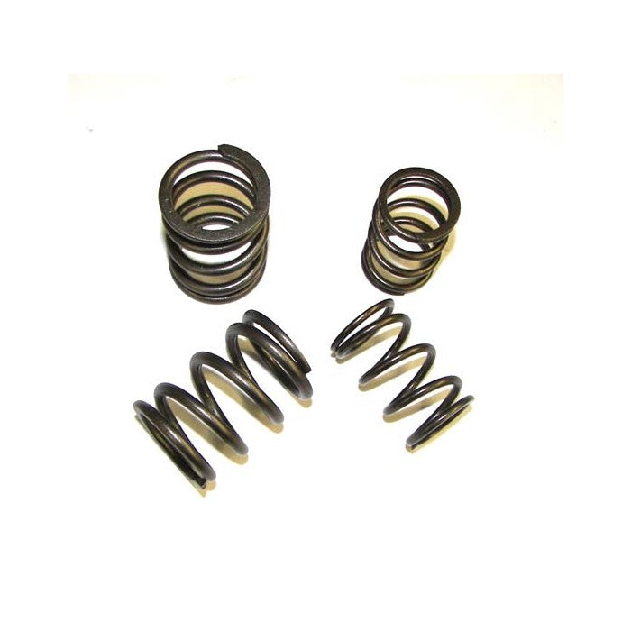 Valve Spring Set, High Rate, Audi 5-cyl 20v