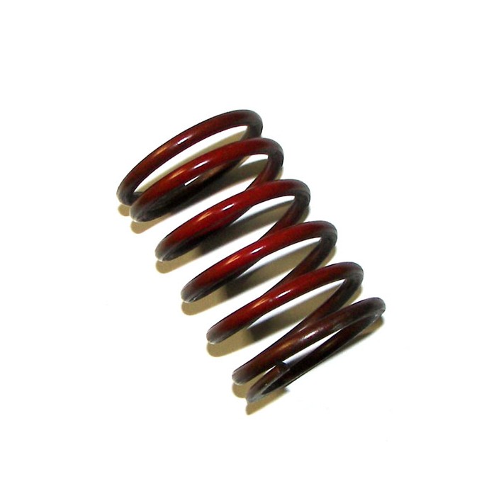 Audi Wastegate Spring, 2.2BAR