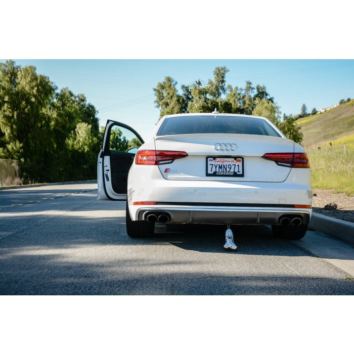 Stainless Steel Balls with Quick Release Mount