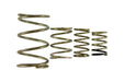 Turbosmart GenV WG38/40 Spring Replacement Kit - Harrys Euro