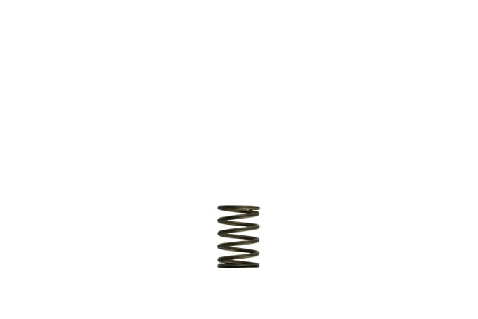 Turbosmart GenV WG38/40 3psi Black Inner Spring - Harrys Euro