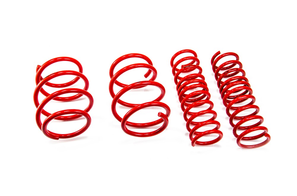 Performance Springs - MTSXBM241 BMW 5 (E39) 525 d 12/95 - 06/03