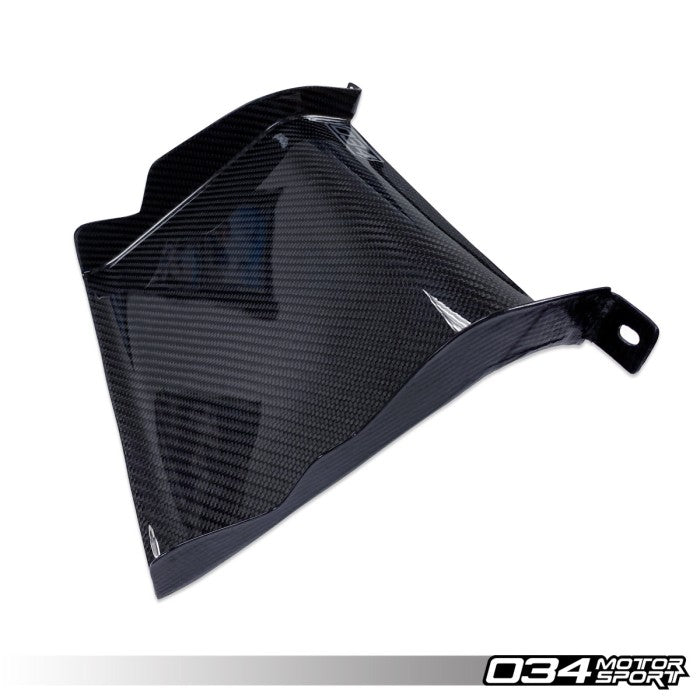 X34 Carbon Fiber Air Scoops for Audi B9/B9.5 A4/S4/Allroad