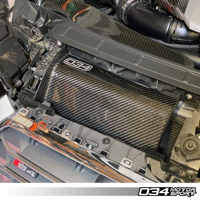 X34 Carbon Fiber Air Scoops for Audi B9/B9.5 A4/S4/Allroad