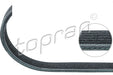 RIBBED V BELT AUDI A3 S3 TT VW GOLF MK5 SHARAN T5 06A260849C - Harrys Euro