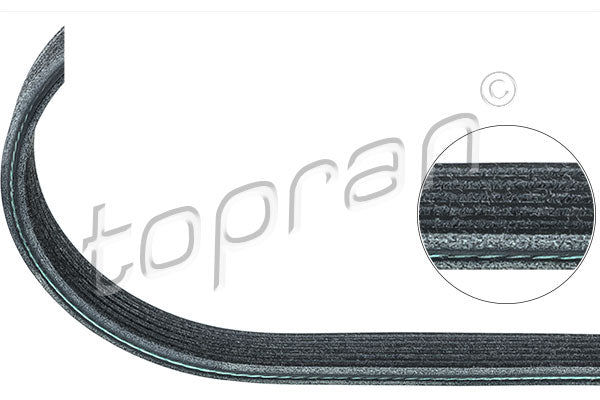 RIBBED V BELT AUDI A3 S3 TT VW GOLF MK5 SHARAN T5 06A260849C - Harrys Euro
