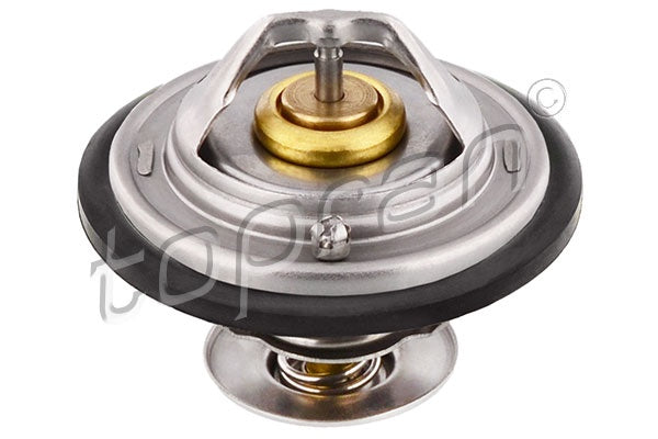 THERMOSTAT | 078121113F