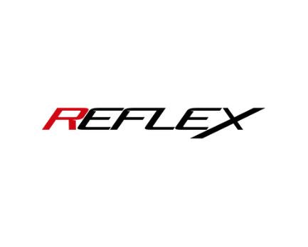 Ecotune Reflex ECU Calibration