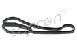 GASKET | OIL COOLER | 11428637820 - Harrys Euro